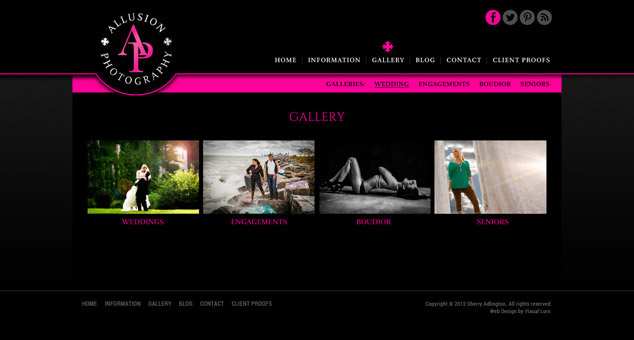 Chicago IL WordPress web design gallery