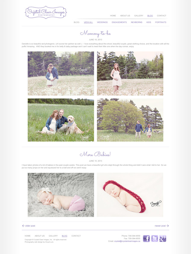 crystal's photography blog design