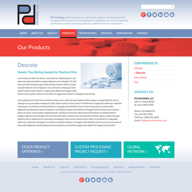 St-louis-web-design-PDHoldings2