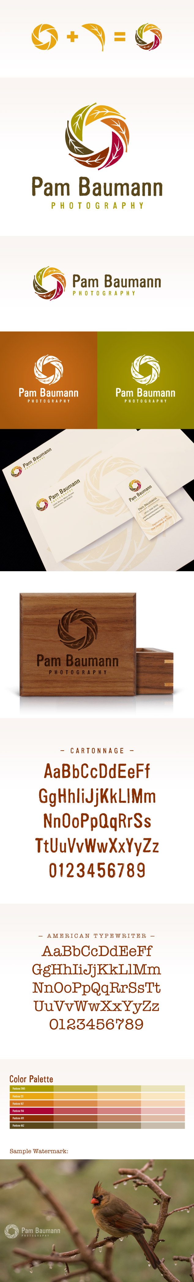 Pam-Baumann-logo-branding