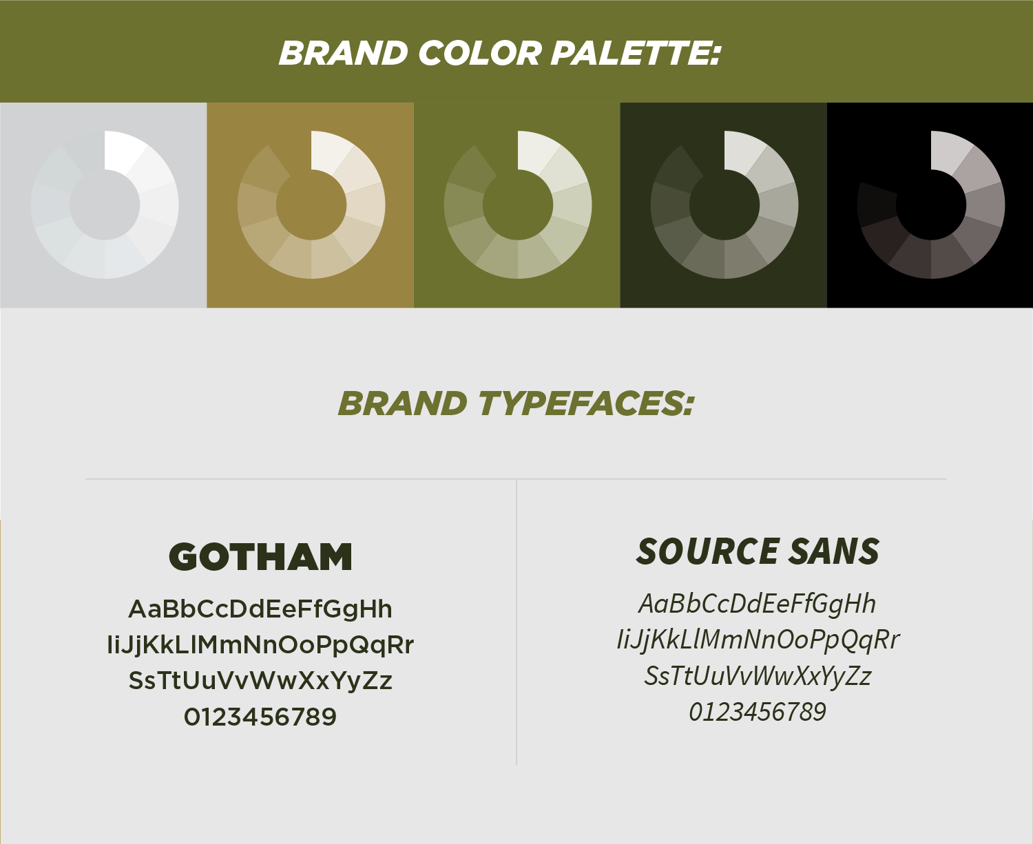 TPL color palette & typefaces