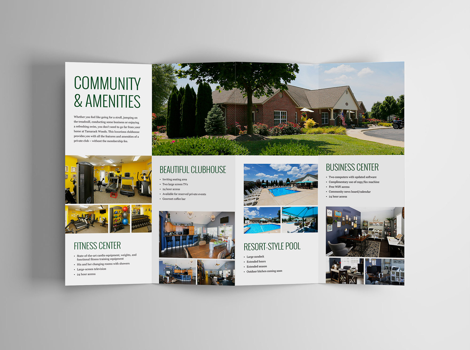 Tamarack accordian brochure design back