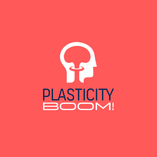 Plasticity Boom! Logo Option