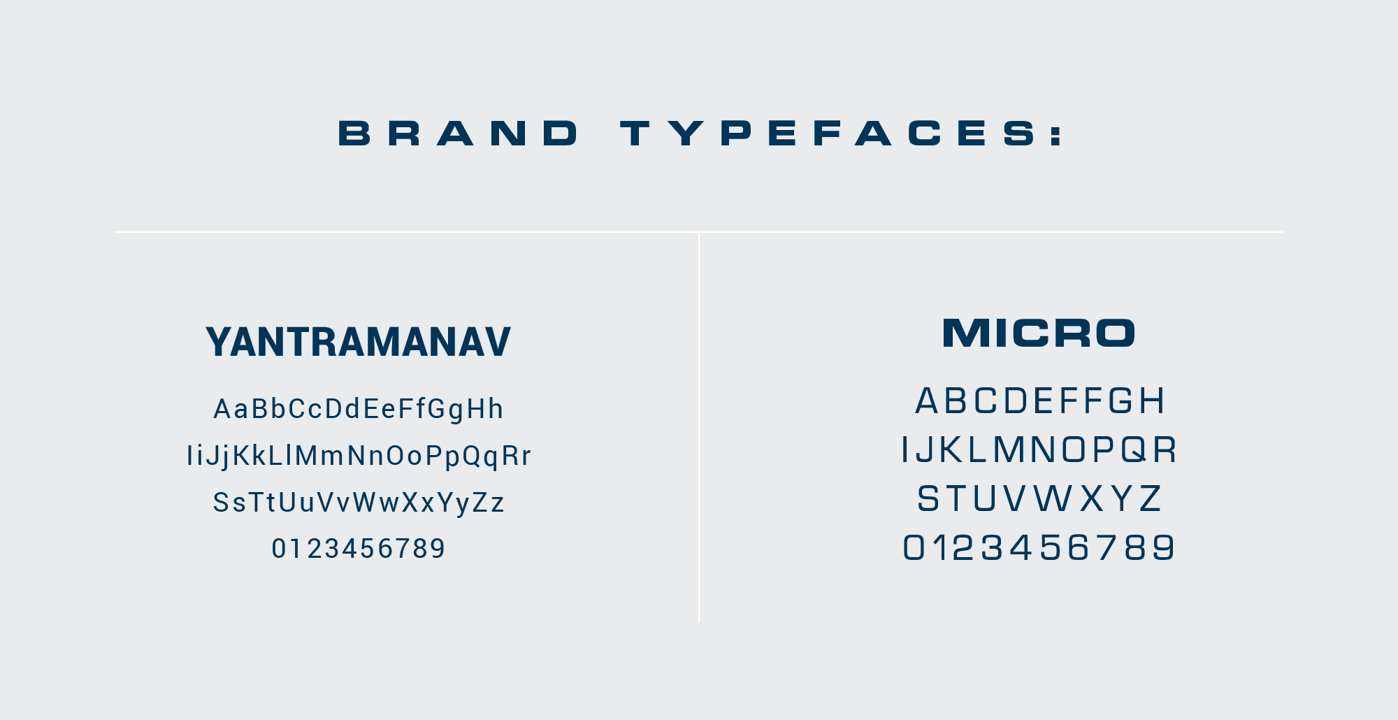 Integra Brand typefaces