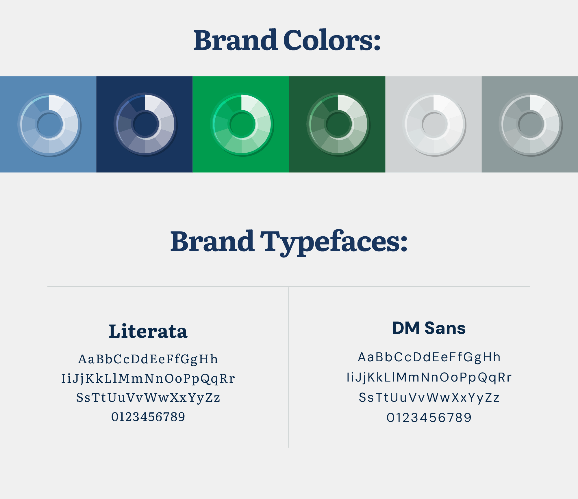StC brand colors & typefaces