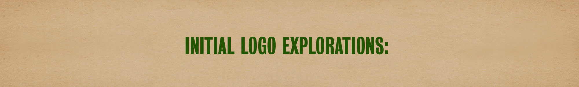 DN-logo-design-explorations