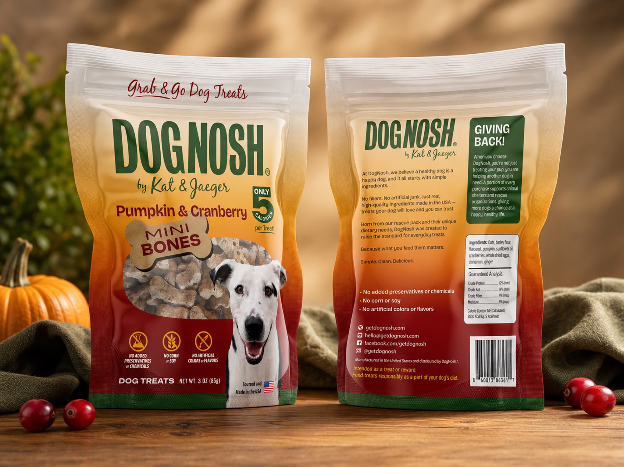 DogNosh P&C package design