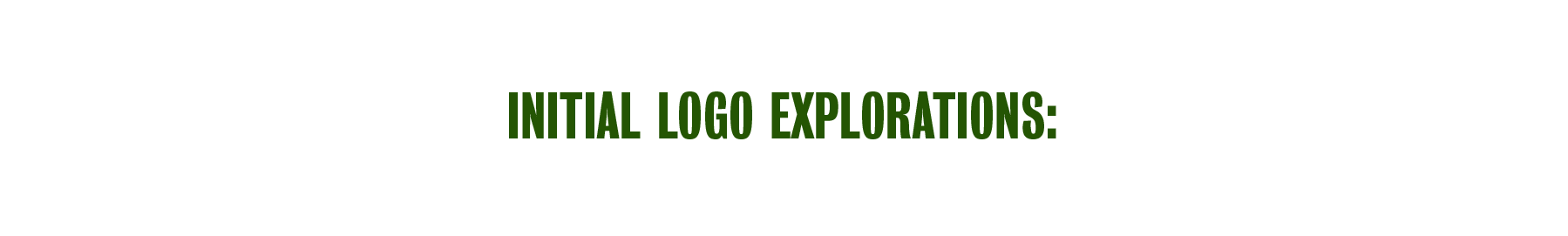 DN-logo-explorations