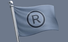 St. Louis Branding & Logo Design