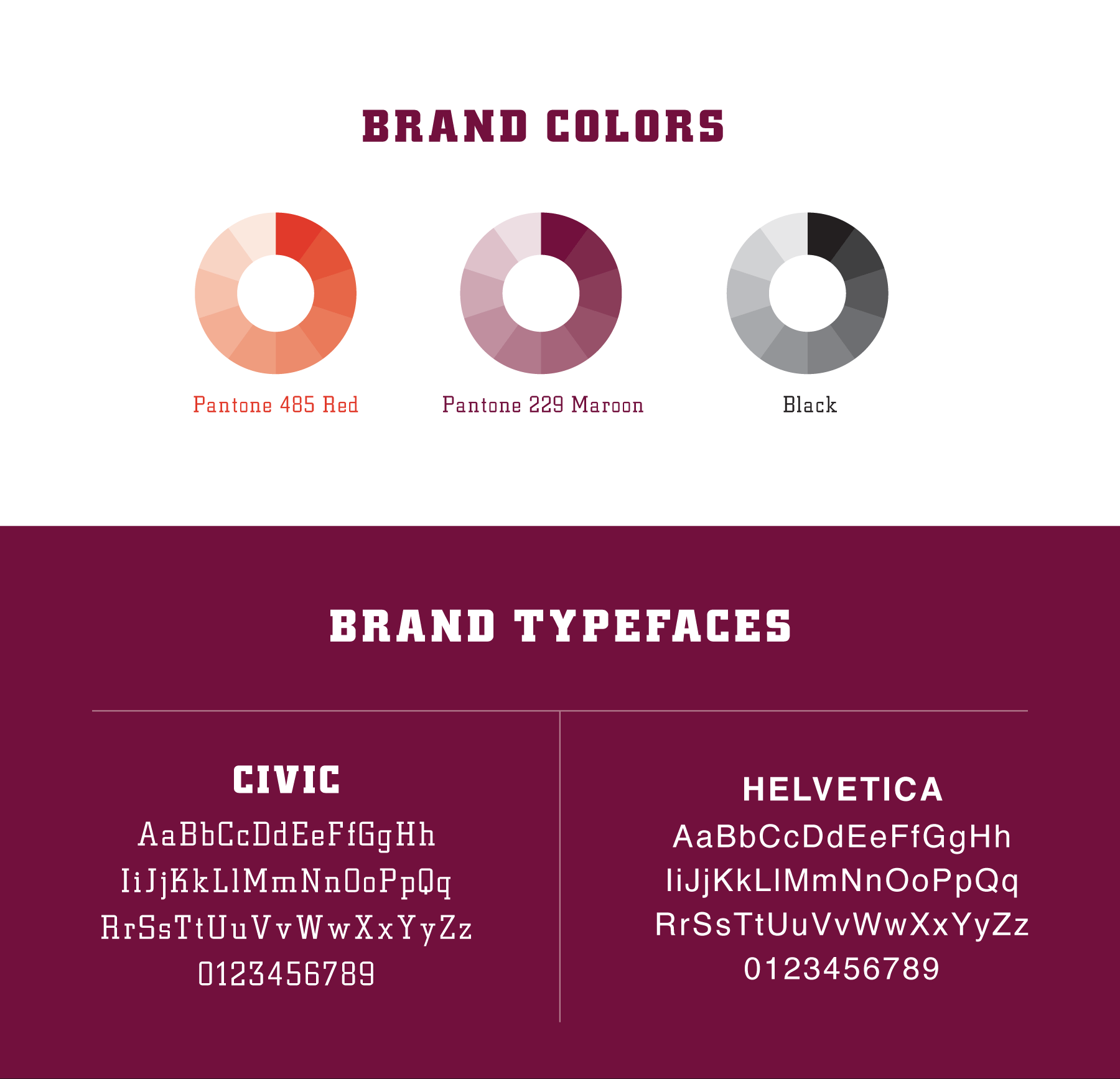 HCS-brand-color-typefaces