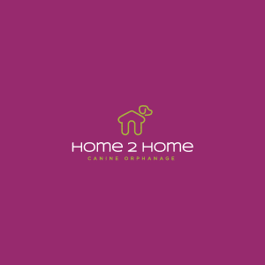 Logo design option for Home 2 Home Canine Orphanage