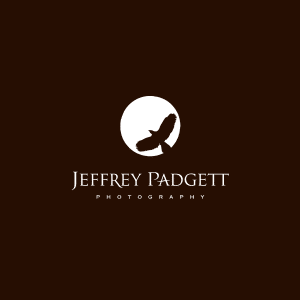 Logo design option for Jeffrey Padgett Photography