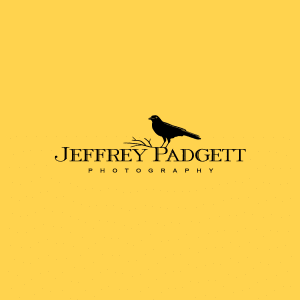 Unselected crow logo for Jeff Padgett